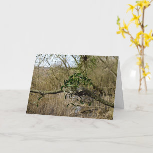 Mistletoe Card