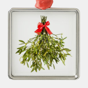 *MISTLETOE* CHRISTMAS ORNAMENT
