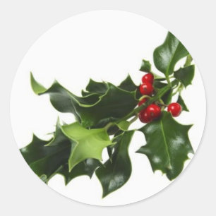 Mistletoe Classic Round Sticker