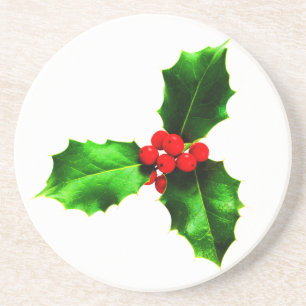 Mistletoe Coaster