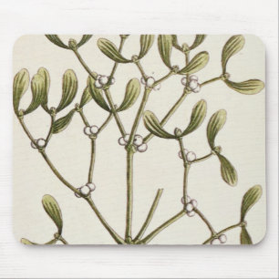 Mistletoe from 'A Curious Herbal', 1782 Mouse Mat