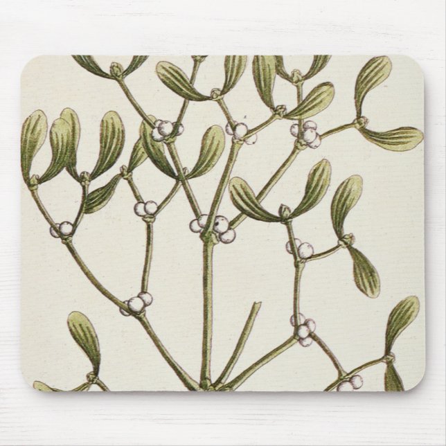 Mistletoe from 'A Curious Herbal', 1782 Mouse Mat (Front)