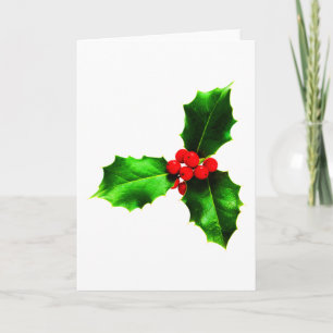 Mistletoe Holiday Card
