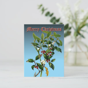 Mistletoe & Holly Greenery Botanical Art Holiday Postcard