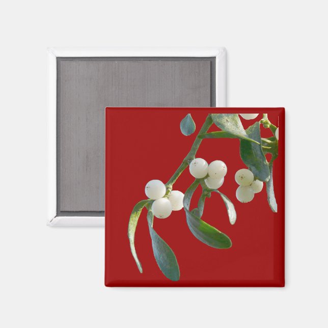 Mistletoe Magnet (Front/Back)