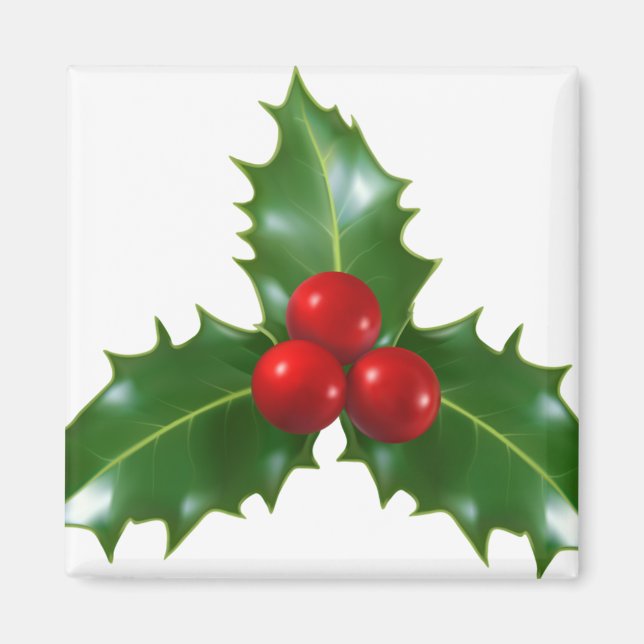 Mistletoe Magnet (Front)