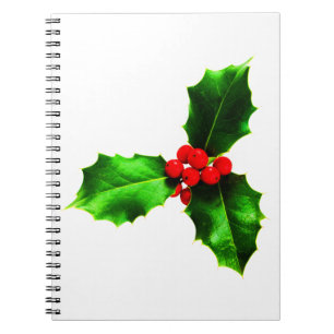 Mistletoe Notebook