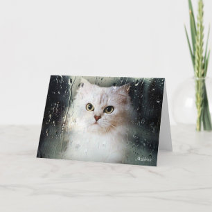Mistletoe the Silver Persian Blank Greeting Card