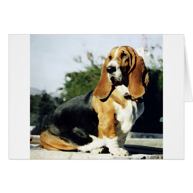 Misty (Front Horizontal)