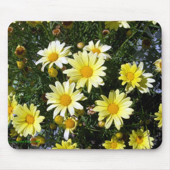 Misty (Agryranthemum) Mouse Mat (Front)