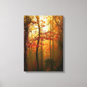 Misty Autumn Morning Canvas