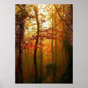 Misty Autumn Morning Poster