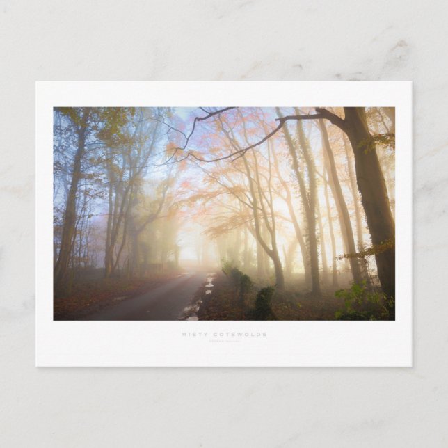 Misty Cotswolds Postcard (Front)