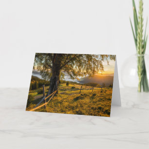 Misty Dawn in a Forest Card
