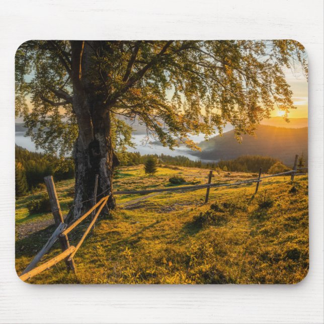 Misty Dawn in a Forest Mouse Mat (Front)