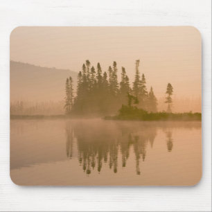 Misty dawn on East Inlet, Pittsburg, New Mouse Mat