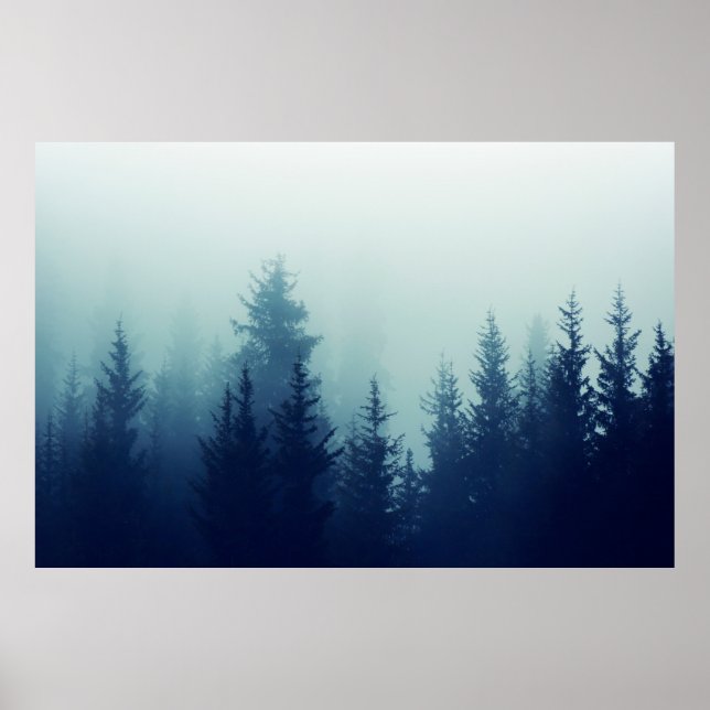 Misty fog in pine forest on mountain slopes. Colou Poster (Front)