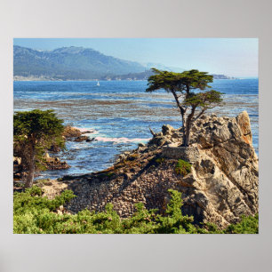 Misty Fog Scenic California Central Coast Poster