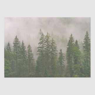 Misty Foggy Forest Trees Tissue Paper