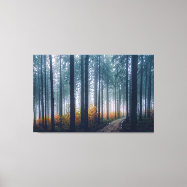 Misty Forest Canvas Print (Front)
