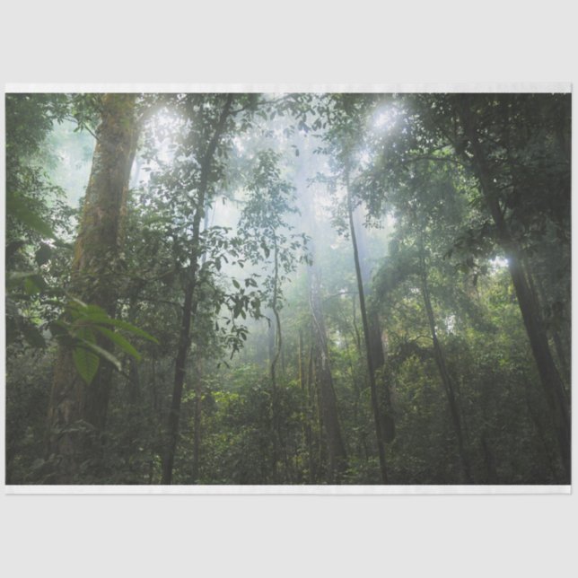 Misty Forest Decoupage Tissue Paper (Front)