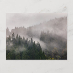 Misty Forest in the Mountains Postcard