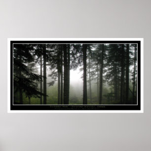 Misty Forest Mystical Photo Poster