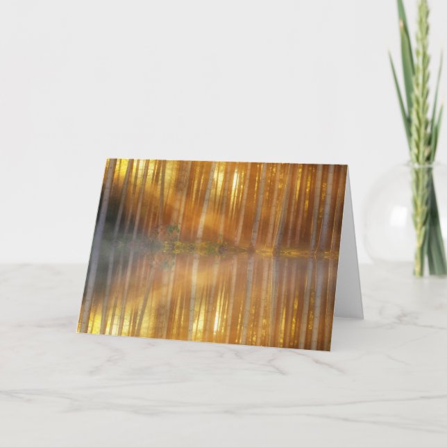 Misty Forest Scene Card (Front)