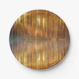 Misty Forest Scene Paper Plate