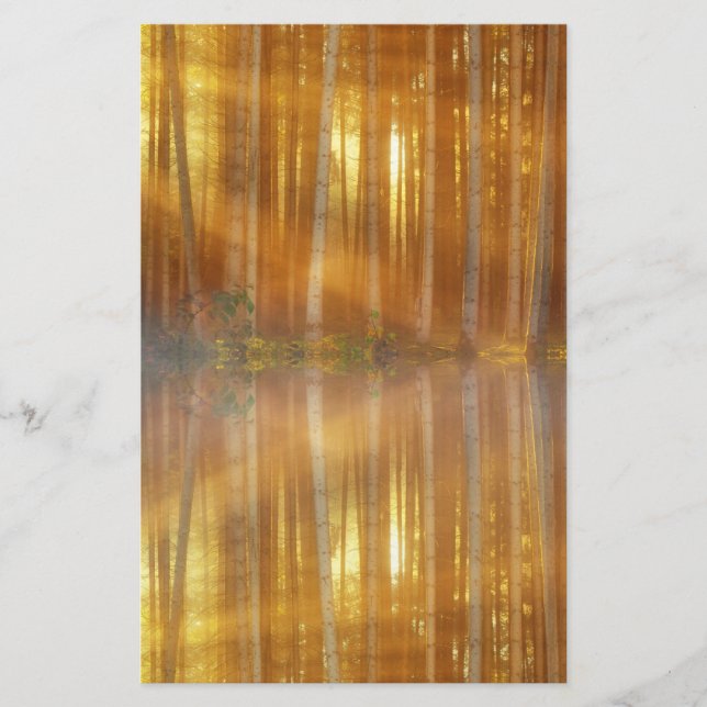 Misty Forest Scene Stationery (Front)
