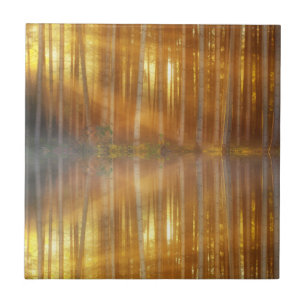 Misty Forest Scene Tile