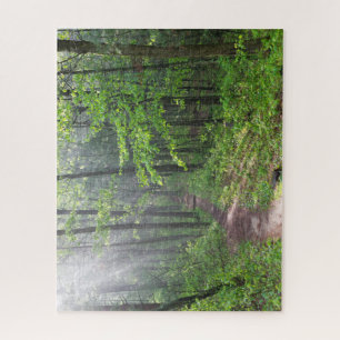 Misty Forest Trail at Castle Mound Jigsaw Puzzle