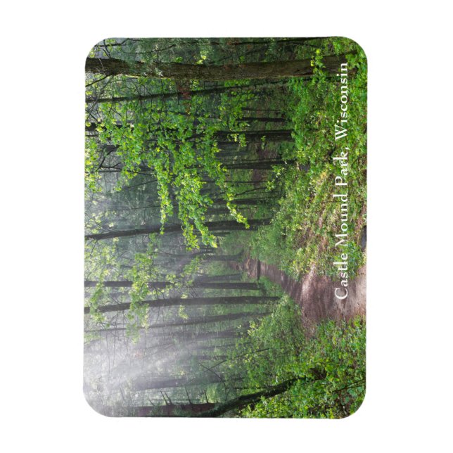 Misty Forest Trail at Castle Mound Magnet (Vertical)