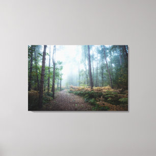 Misty Forest Walk Canvas Print