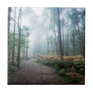 Misty Forest Walk Tile