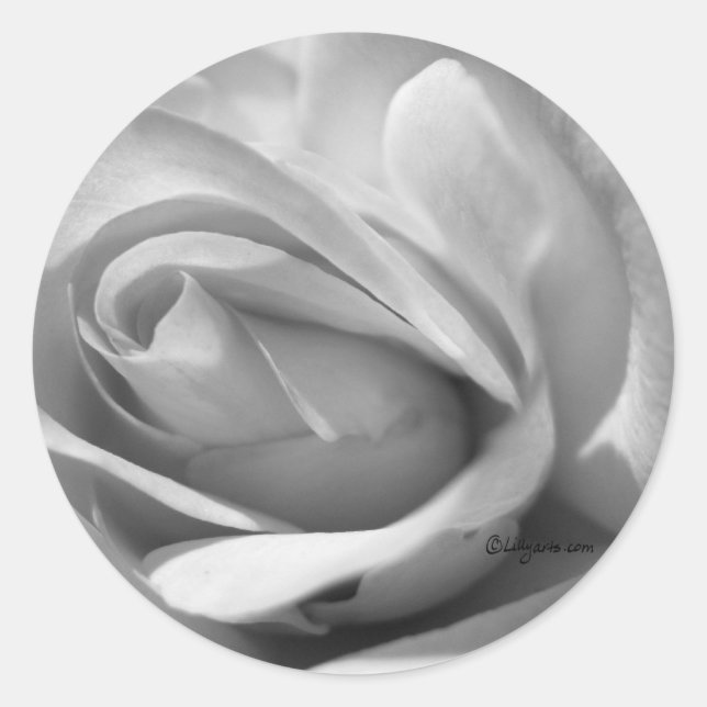Misty Grey Rose Wedding Envelope Sticker (Front)