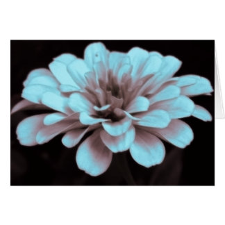 Misty hazy subtly tinted zinnia photo card - blank