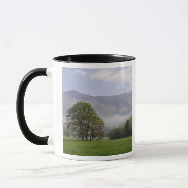 Misty meadow and Rich Mountain, Cades Cove, Mug (Left)