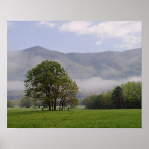 Misty meadow and Rich Mountain, Cades Cove, Poster