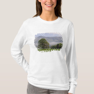 Misty meadow and Rich Mountain, Cades Cove, T-Shirt