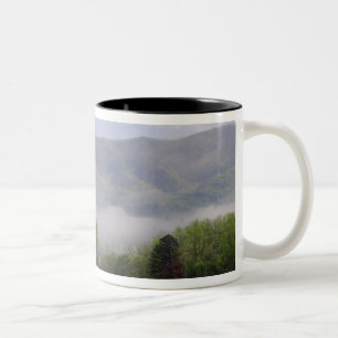 Misty meadow and Rich Mountain, Cades Cove, Two-Tone Coffee Mug