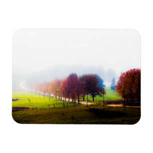 Misty meadow in autumn magnet