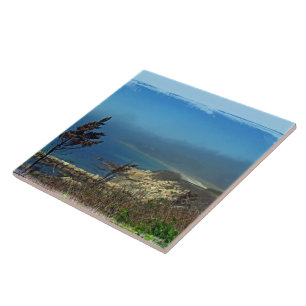 Misty Morning at Nobska Point - Cape Cod MA Tile