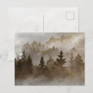 Misty morning at the valley postcard
