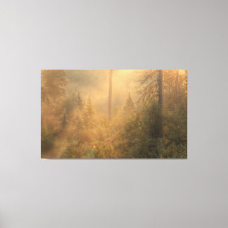 Misty Morning Canvas Print