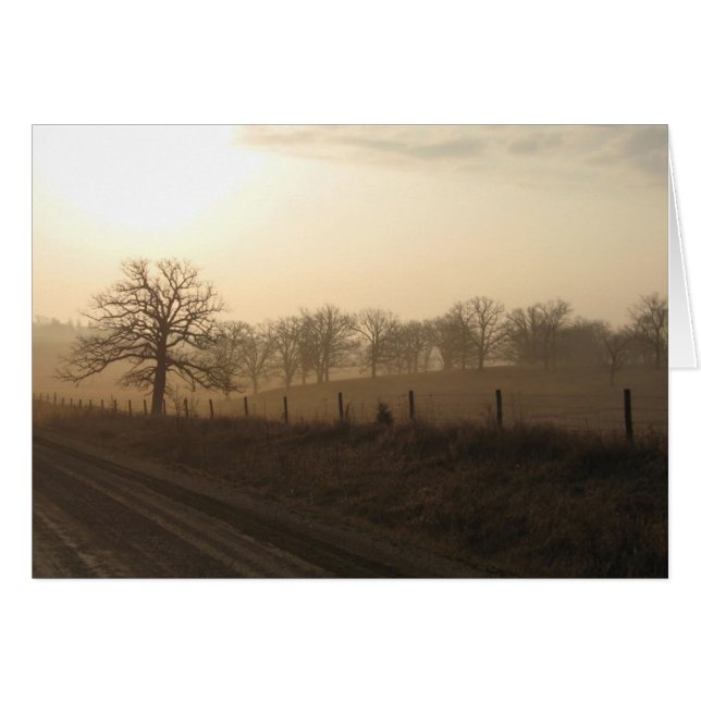 Misty morning in March (Front Horizontal)