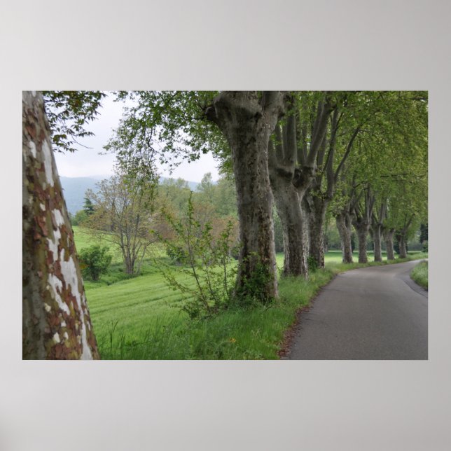 Misty morning in Provence print (Front)