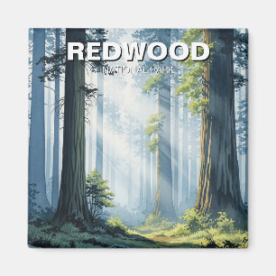 Misty Morning in Redwood National Park Magnet