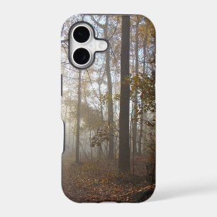 Misty Morning in the Forest