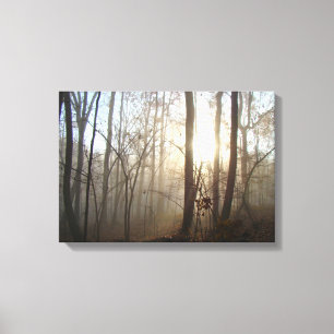 Misty Morning in the Forest Canvas Print